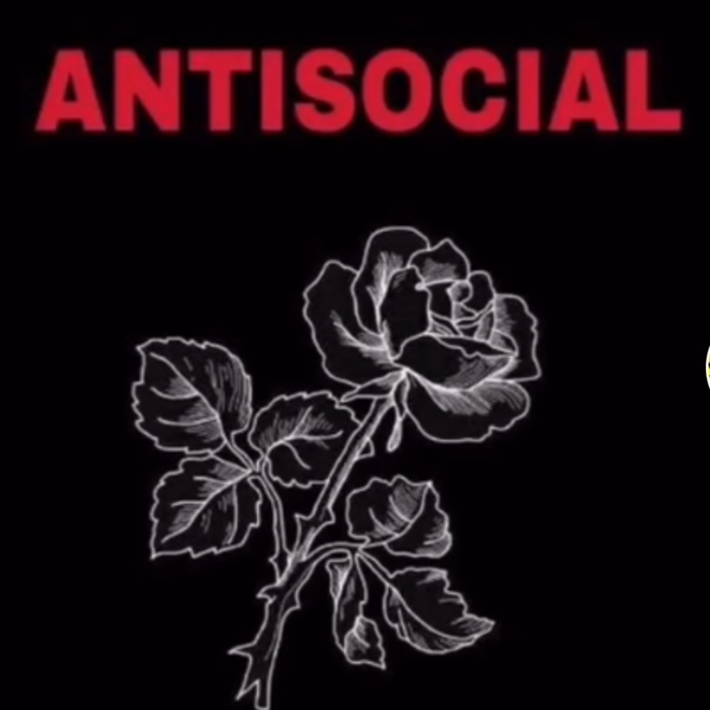 Meet your Posher, Brooklynn